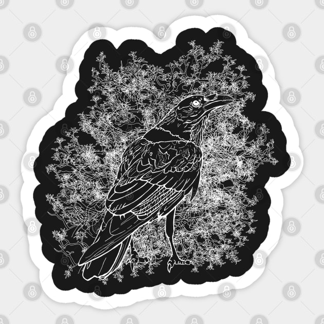 The Raven Sticker by Astrablink7